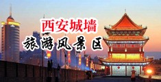 男过女生操逼网站中国陕西-西安城墙旅游风景区